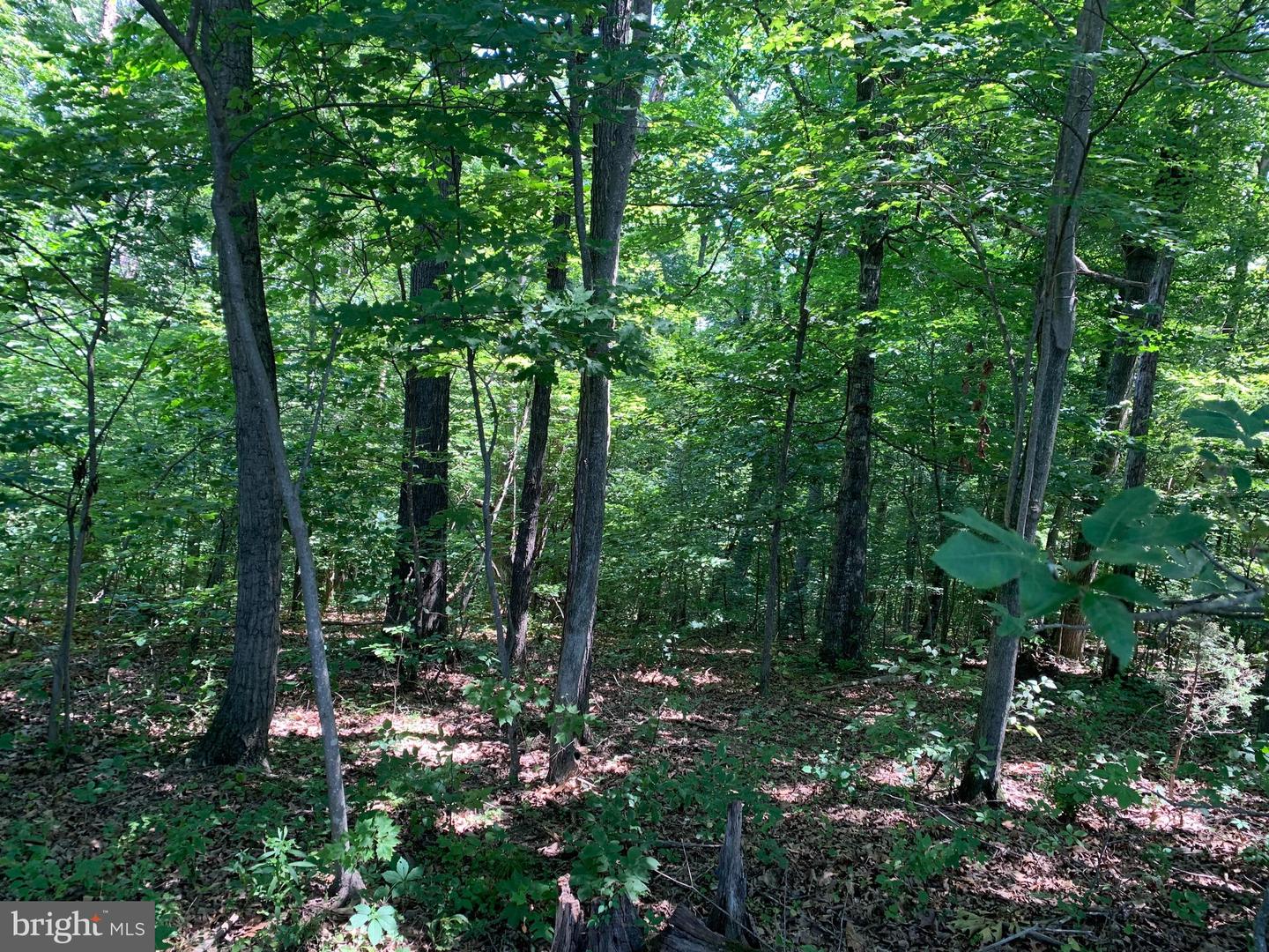 790 Lot 64 River View Rd