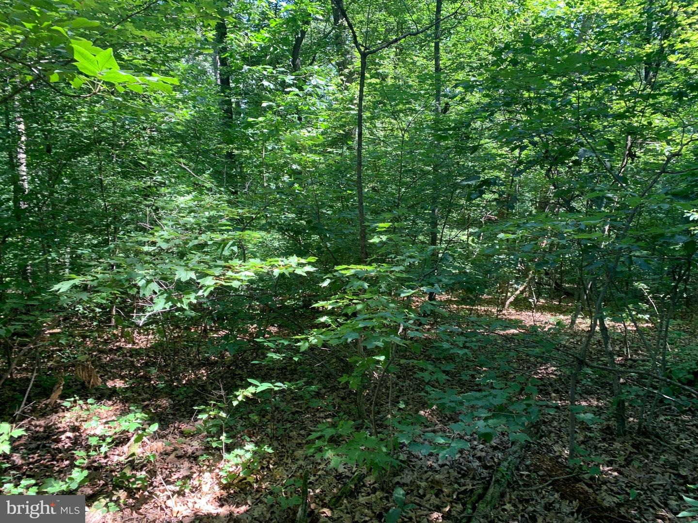 790 Lot 64 River View Rd