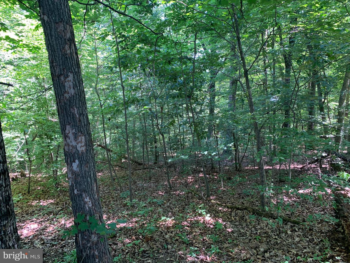 790 Lot 64 River View Rd