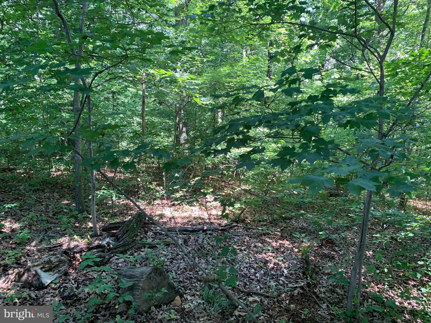 790 Lot 64 River View Rd
