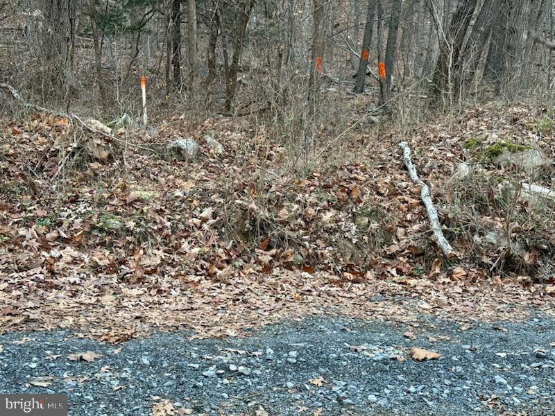 0 Mountain Run Road