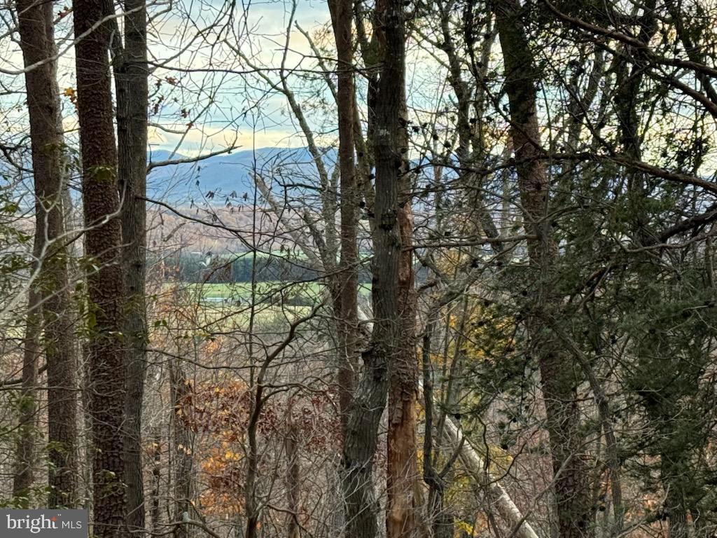 0 Mountain Run Road