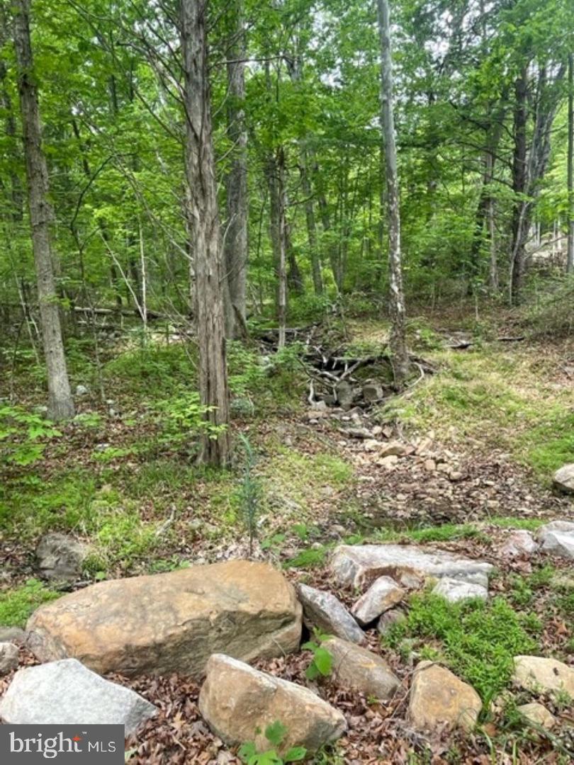 0 Mountain Run Road
