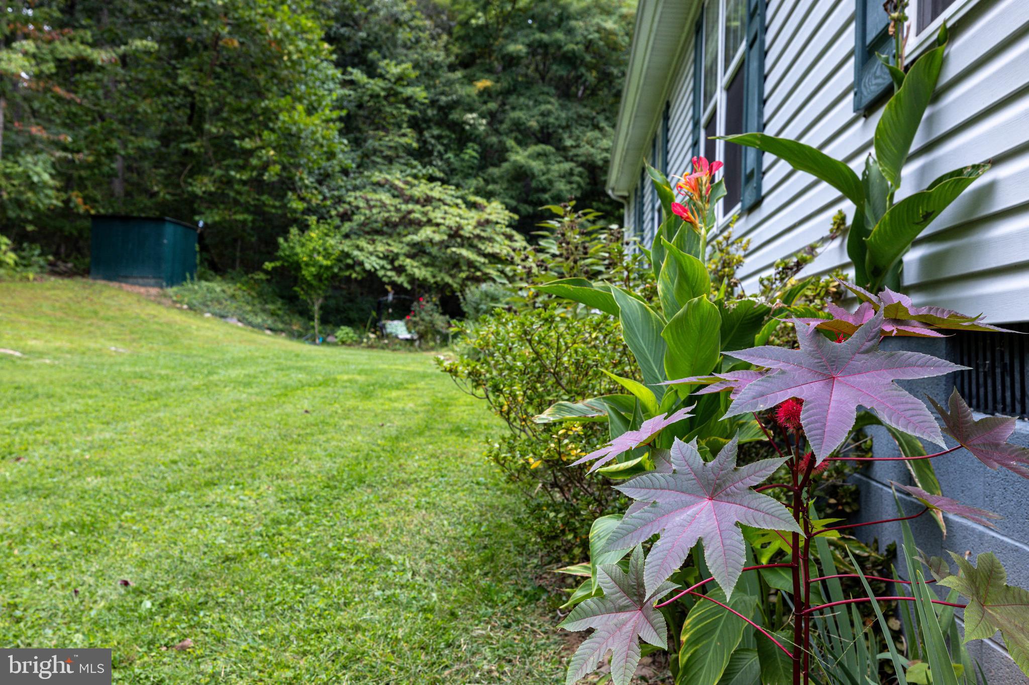 287 MOCKINGBIRD LANE