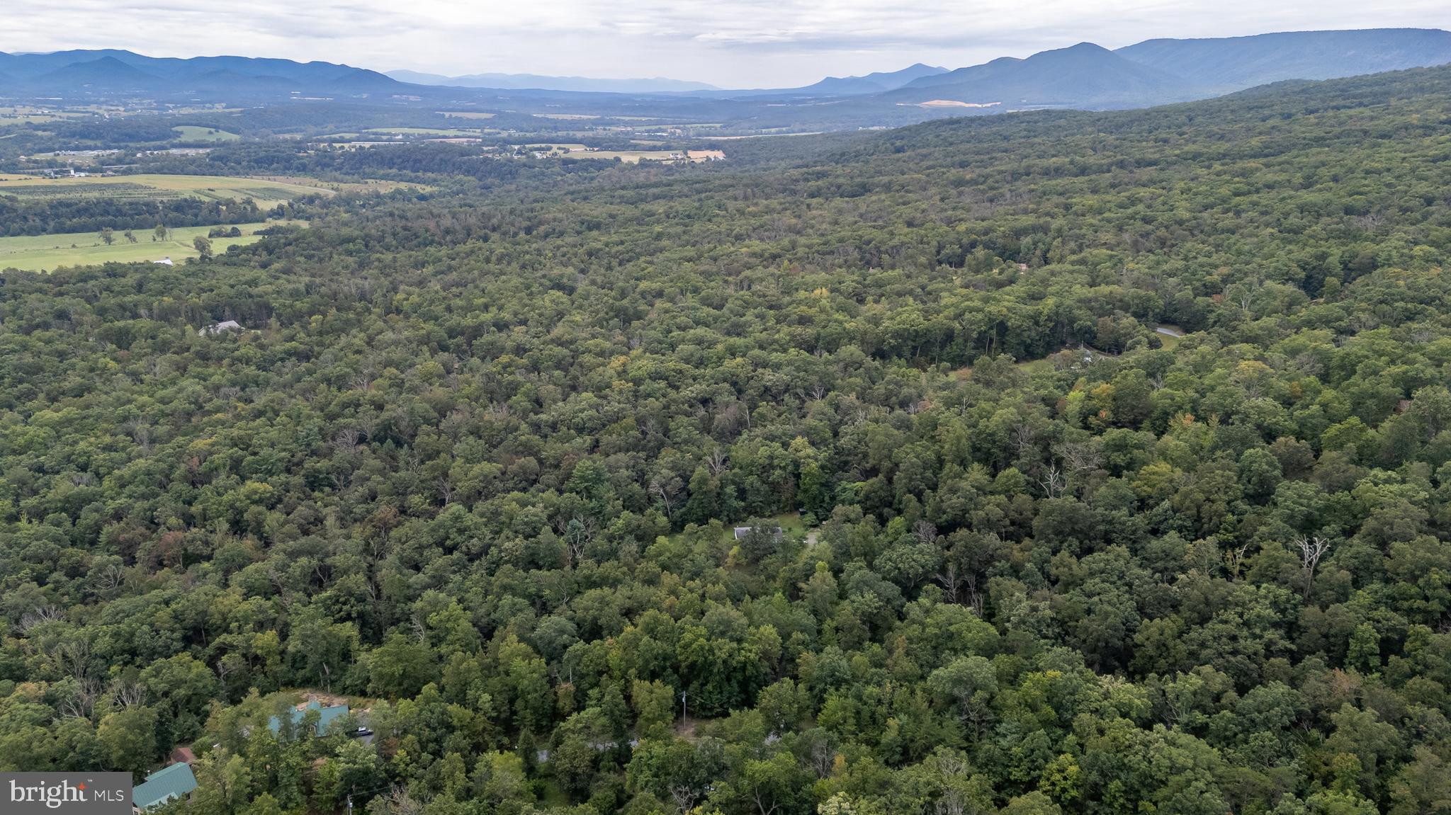 287 MOCKINGBIRD LANE