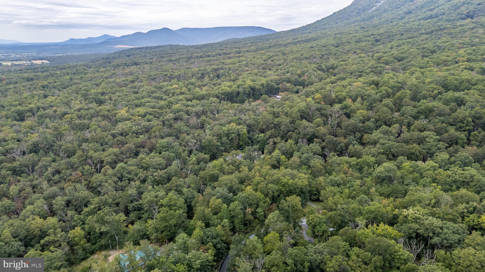 287 MOCKINGBIRD LANE