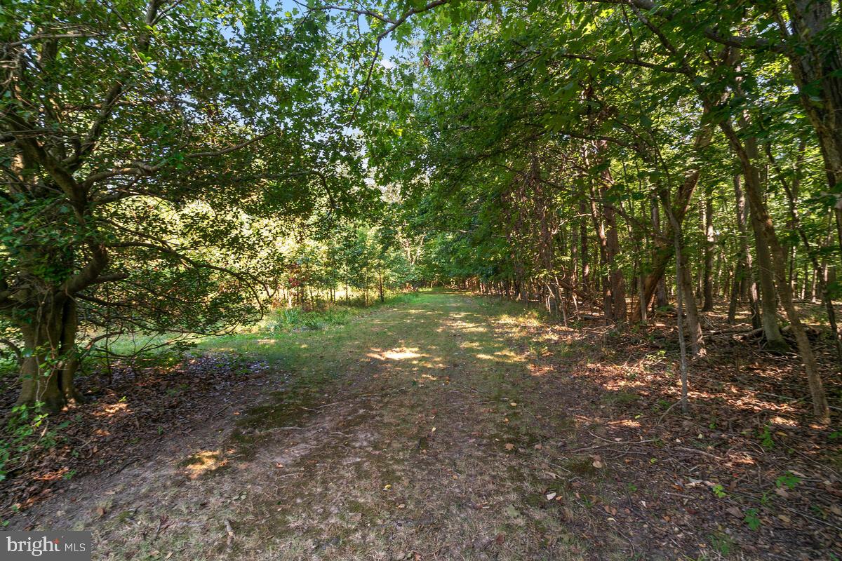 8929 Burwell ROAD