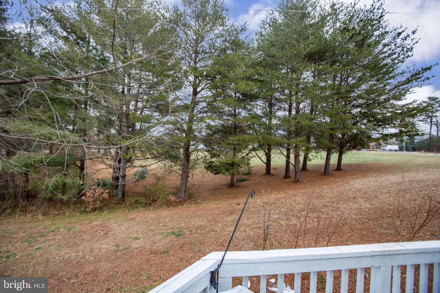 15385 Tina LANE