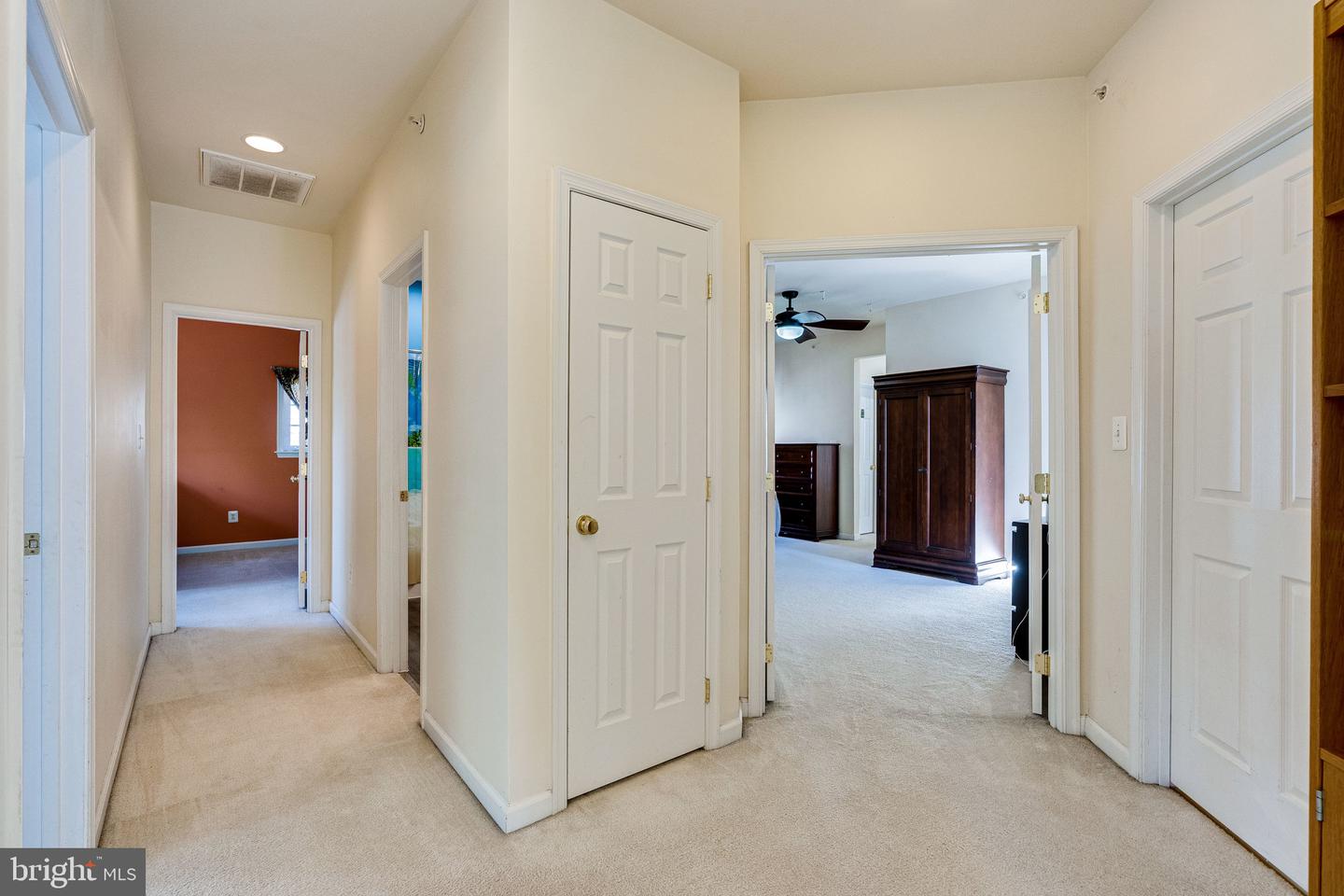 14372 Sharpshinned DRIVE