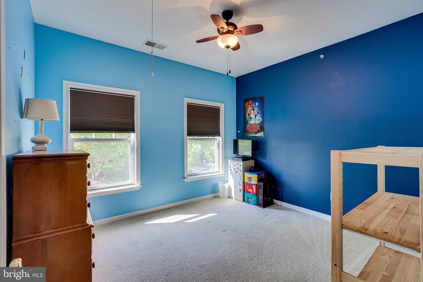 14372 Sharpshinned DRIVE