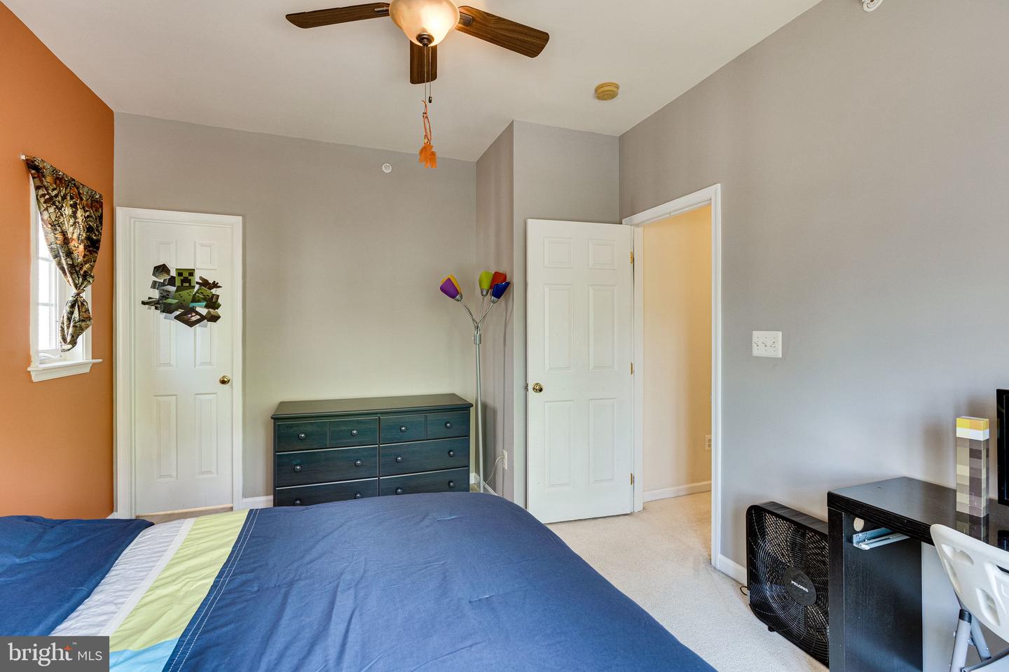 14372 Sharpshinned DRIVE