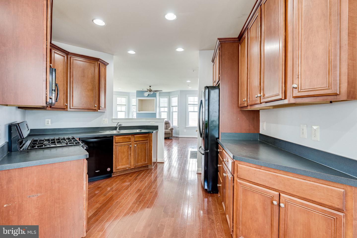 14372 Sharpshinned DRIVE