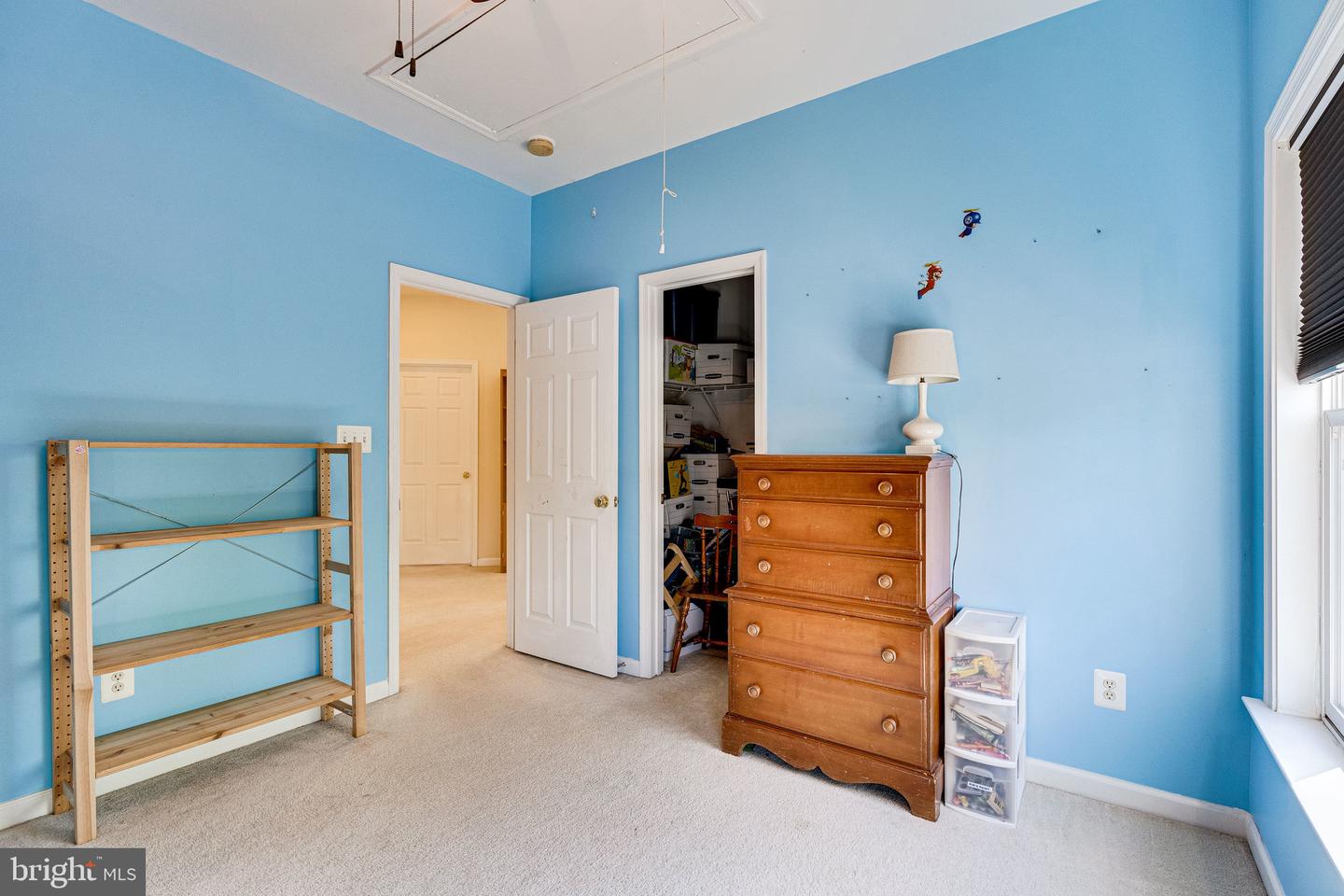 14372 Sharpshinned DRIVE