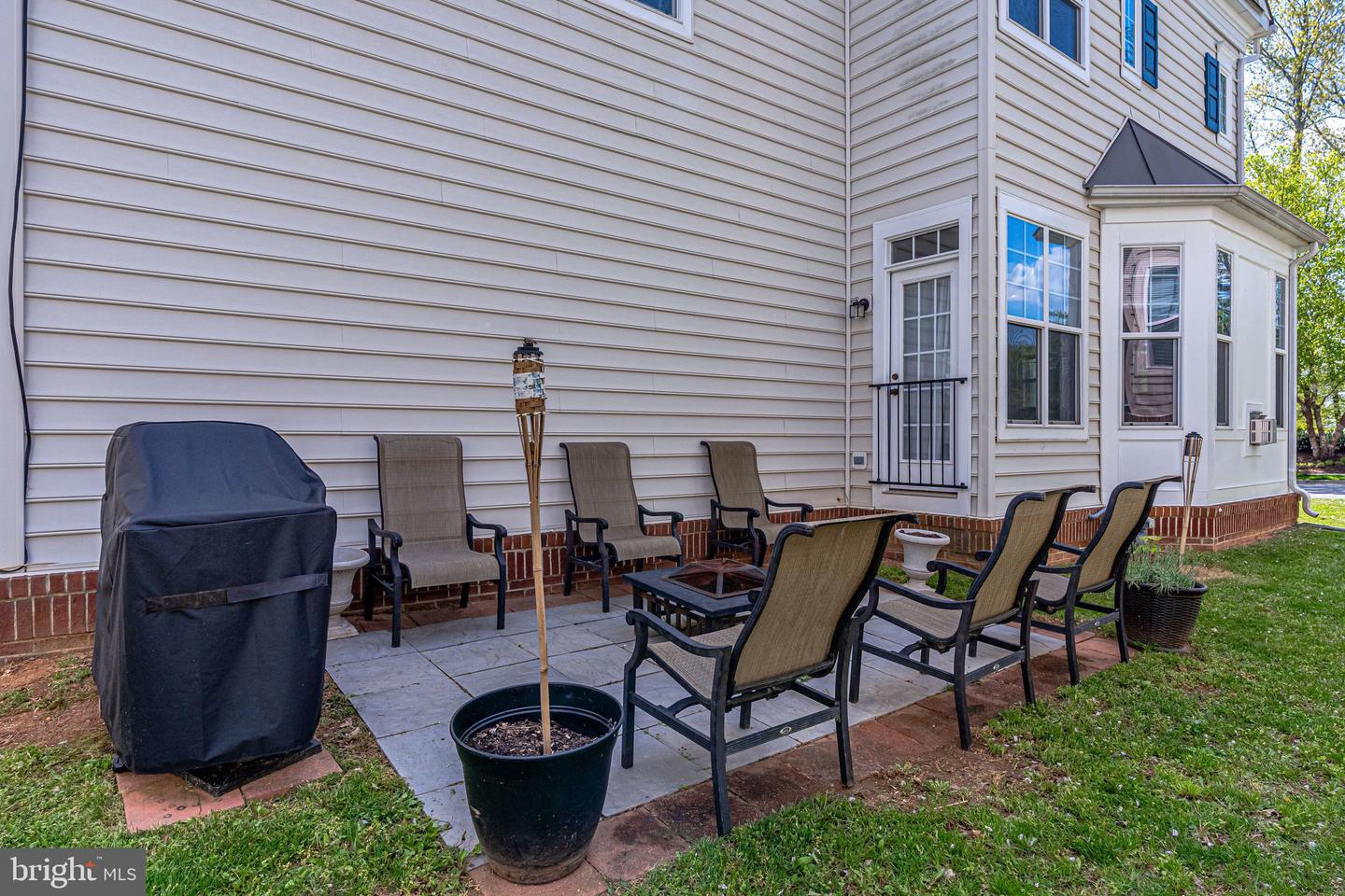 14372 Sharpshinned DRIVE