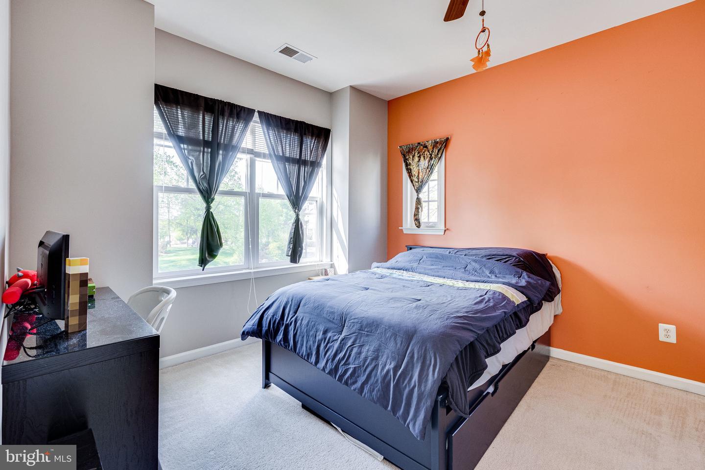 14372 Sharpshinned DRIVE