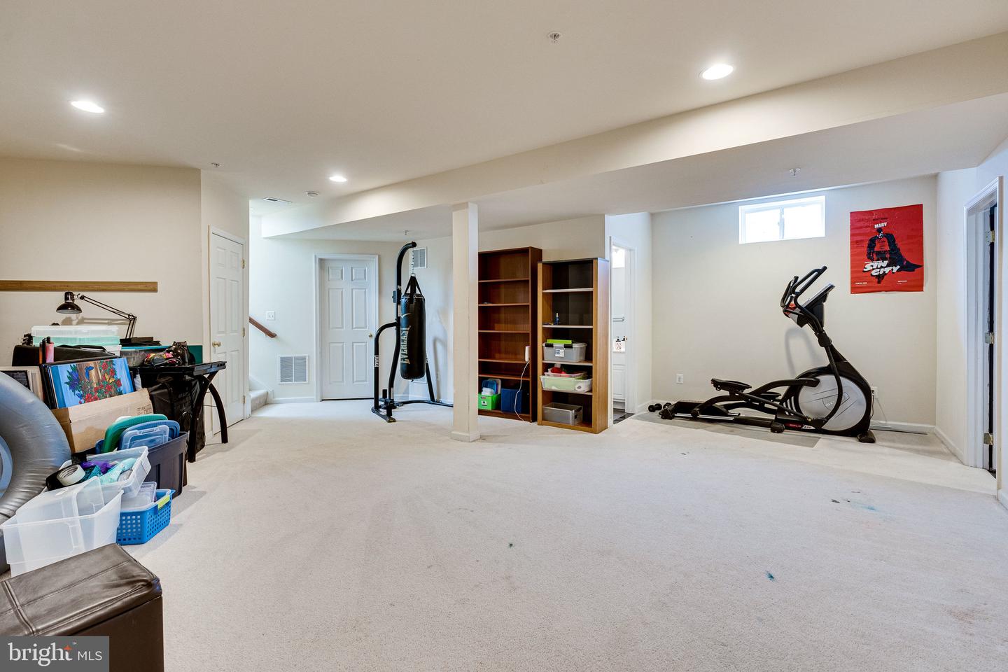 14372 Sharpshinned DRIVE