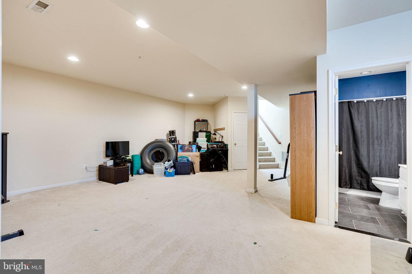 14372 Sharpshinned DRIVE