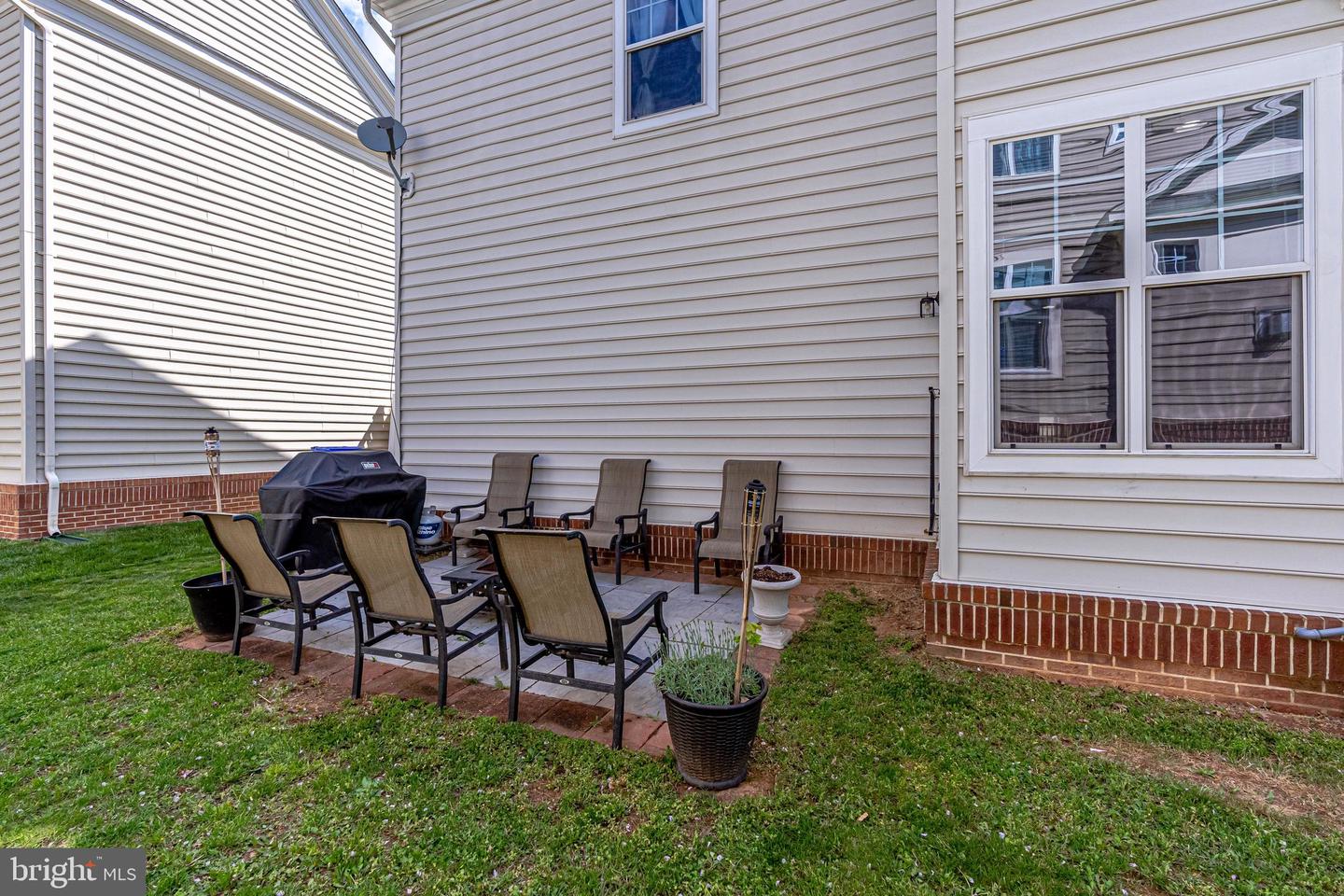 14372 Sharpshinned DRIVE