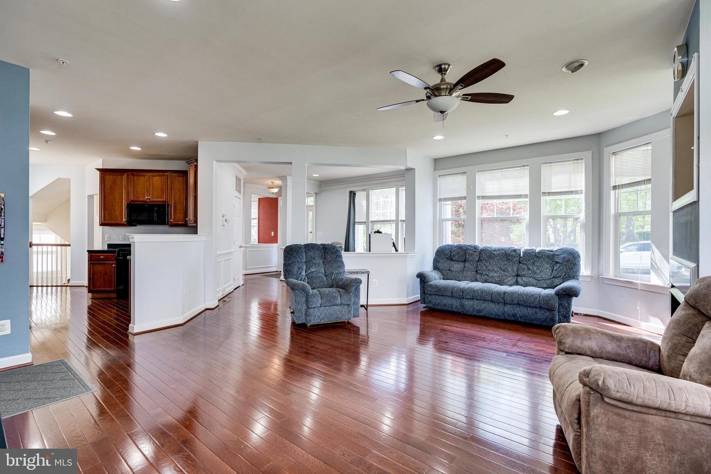 14372 Sharpshinned DRIVE