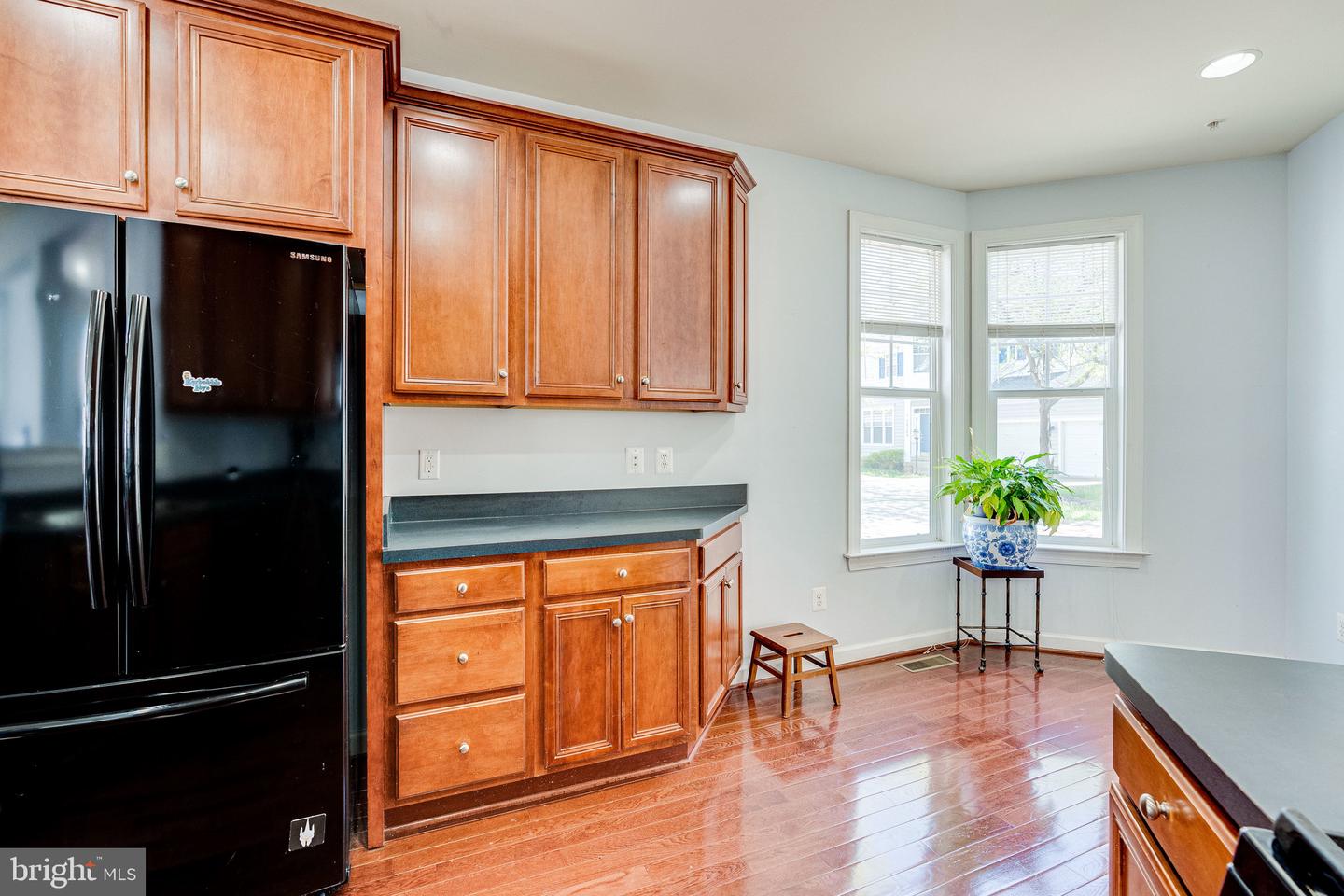 14372 Sharpshinned DRIVE