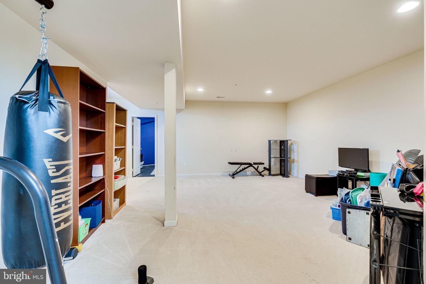 14372 Sharpshinned DRIVE