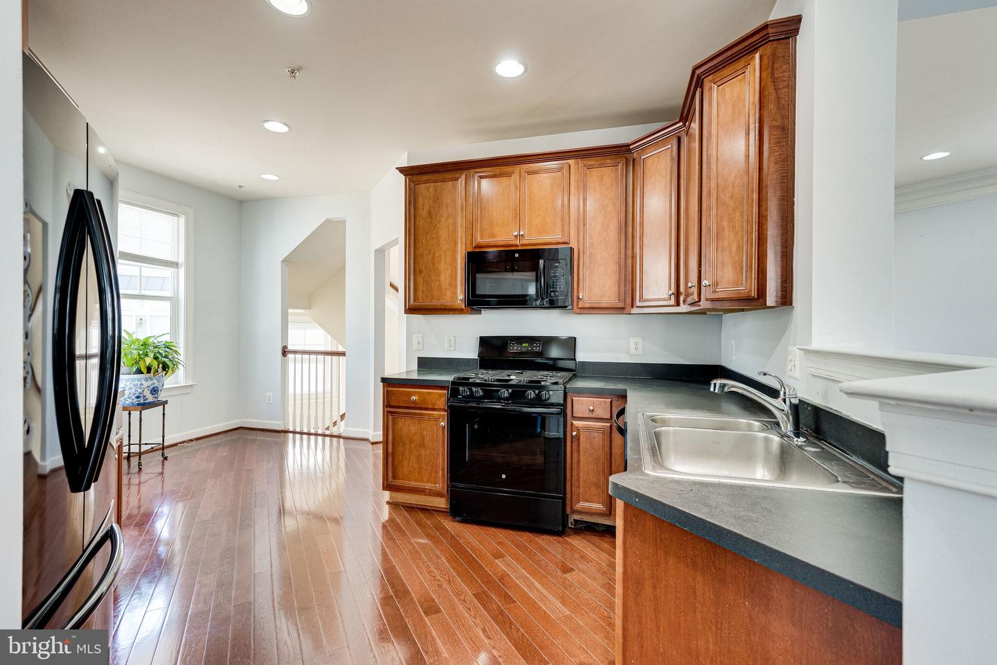 14372 Sharpshinned DRIVE
