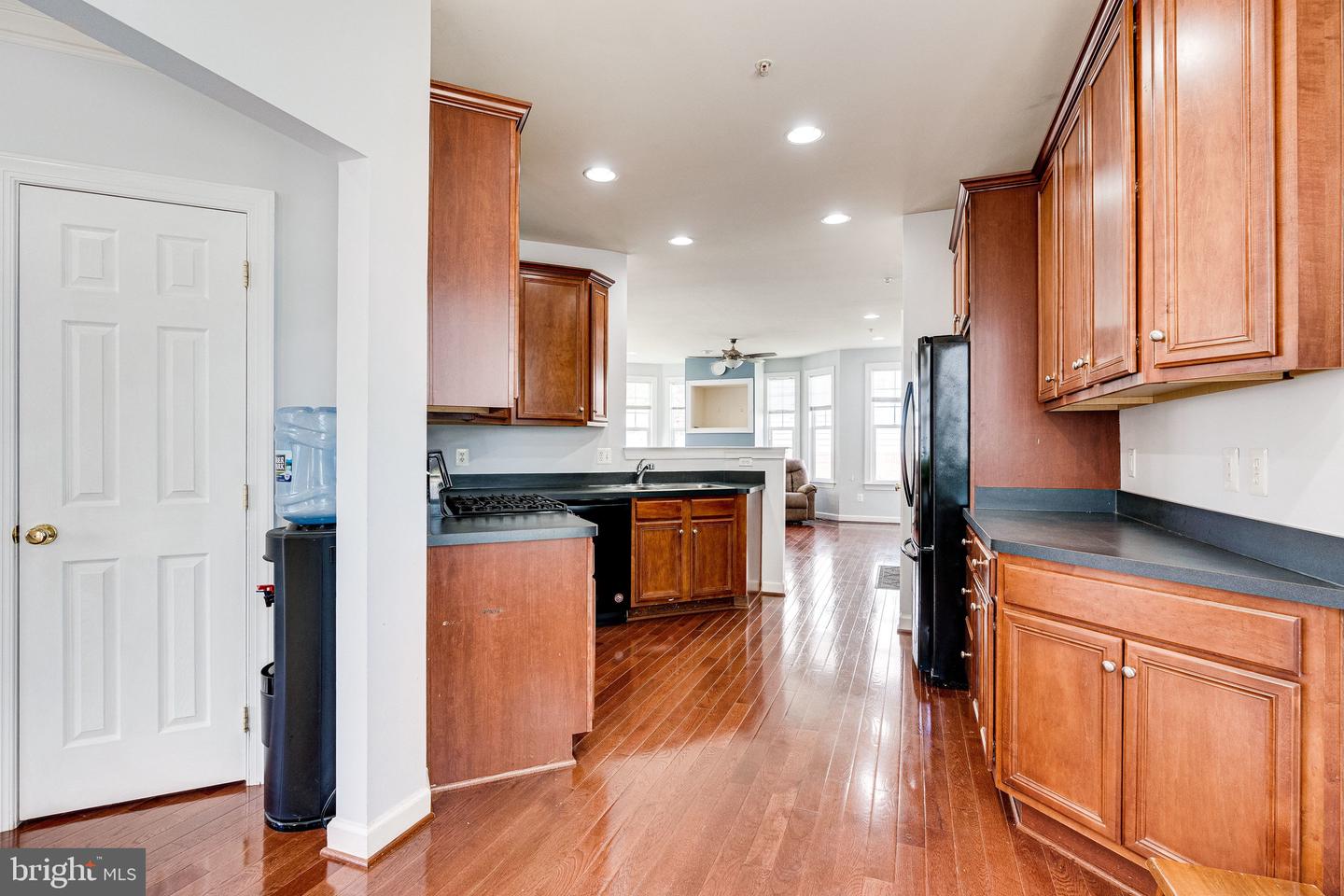 14372 Sharpshinned DRIVE