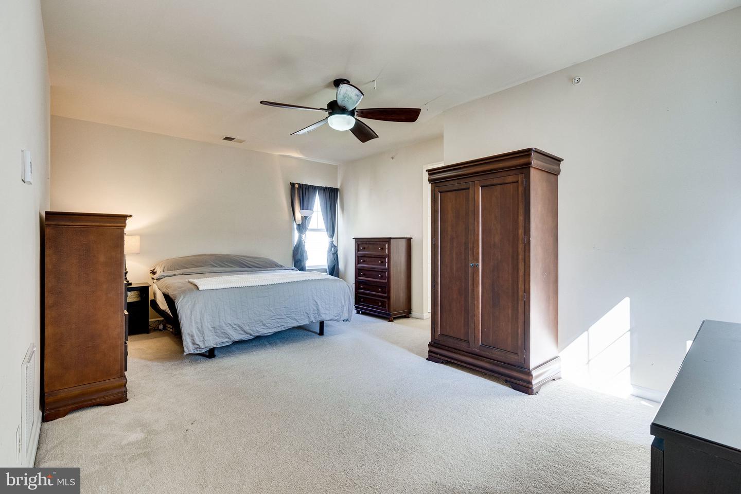 14372 Sharpshinned DRIVE