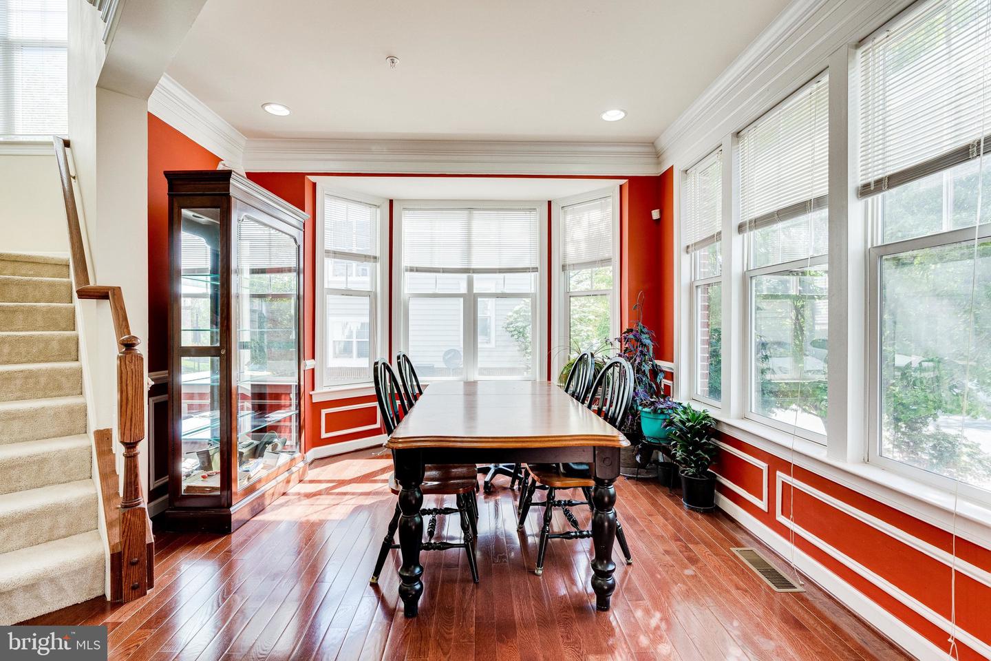 14372 Sharpshinned DRIVE