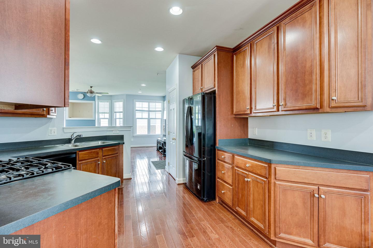 14372 Sharpshinned DRIVE