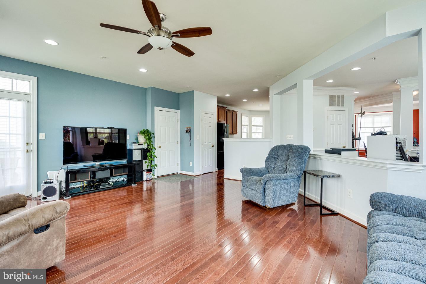 14372 Sharpshinned DRIVE