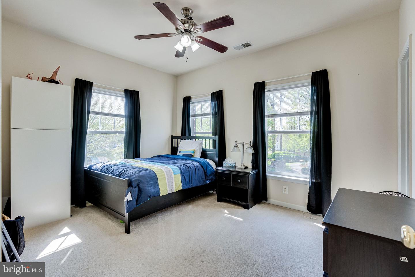 14372 Sharpshinned DRIVE