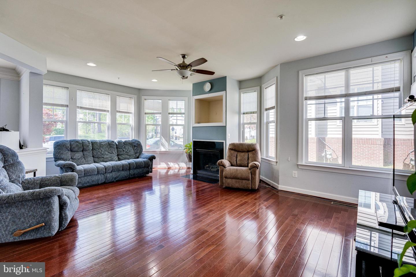 14372 Sharpshinned DRIVE