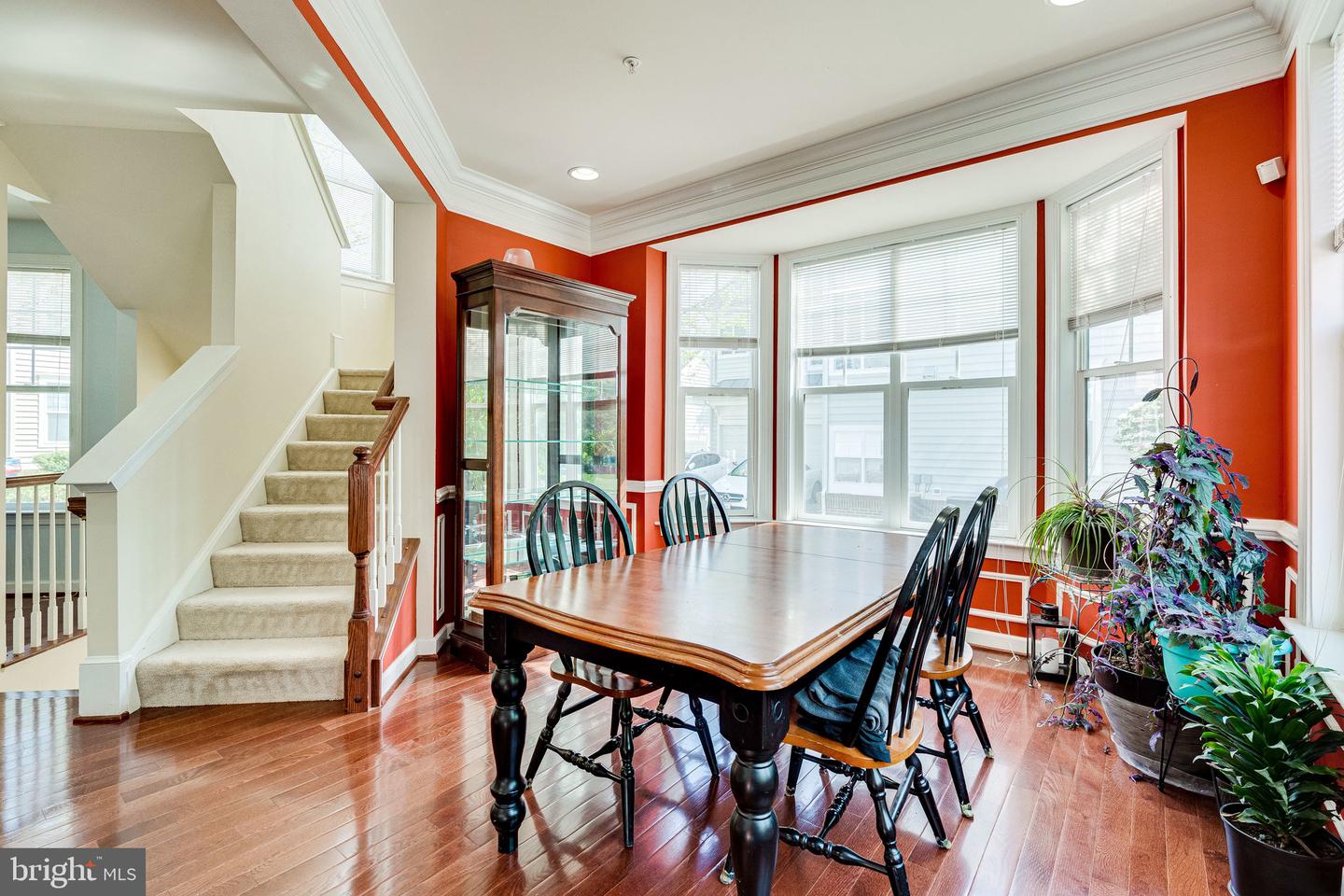 14372 Sharpshinned DRIVE