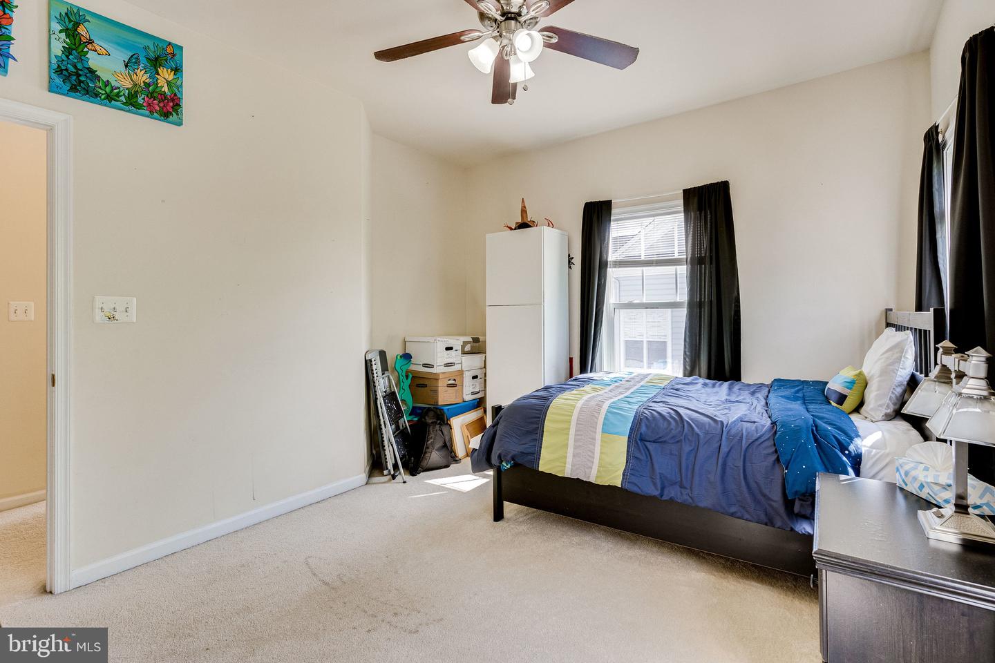 14372 Sharpshinned DRIVE