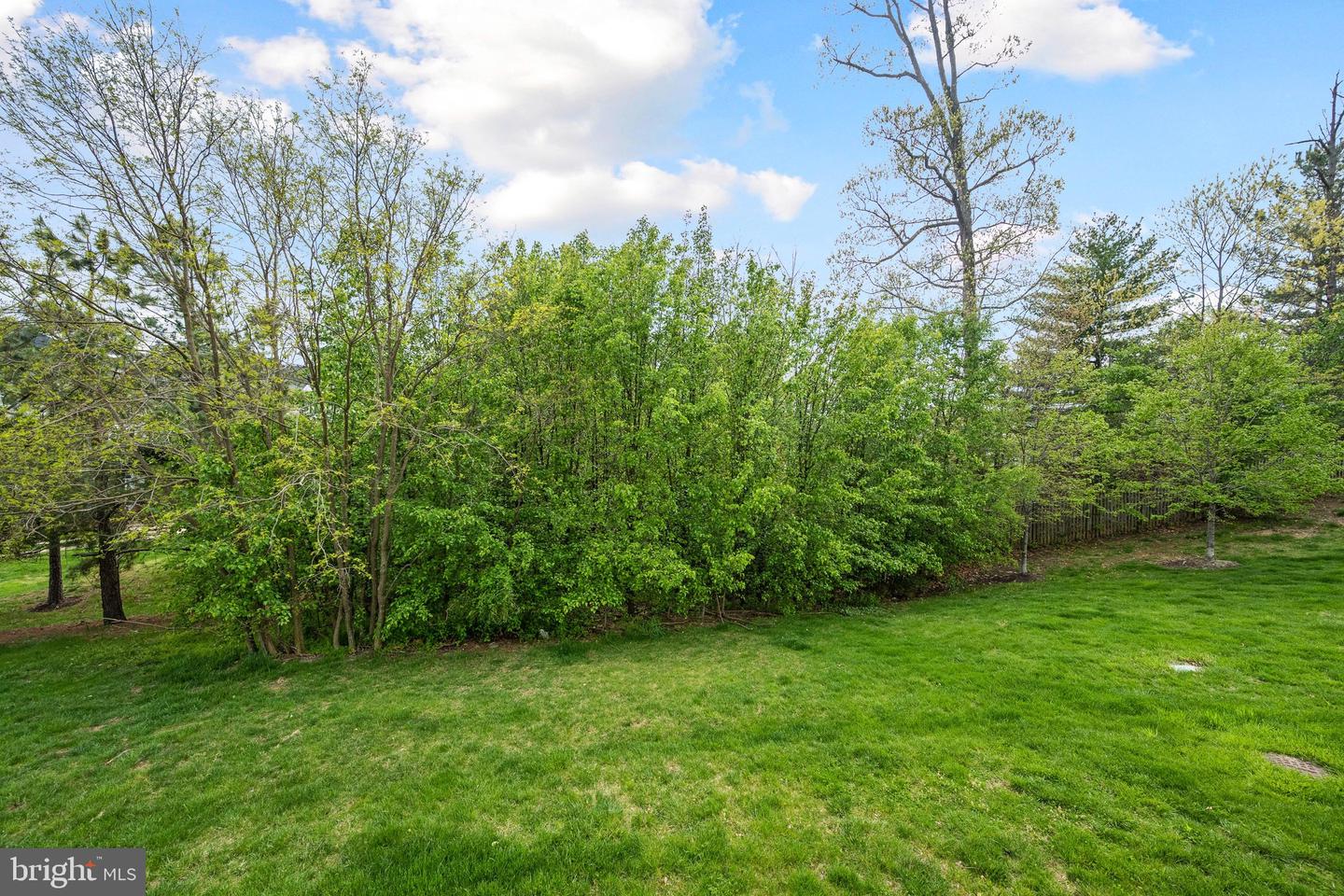 16780 Blackjack Oak LANE