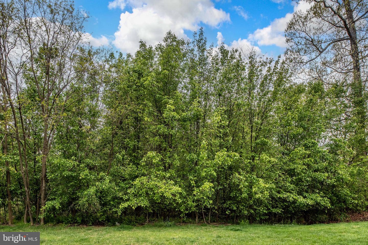 16780 Blackjack Oak LANE