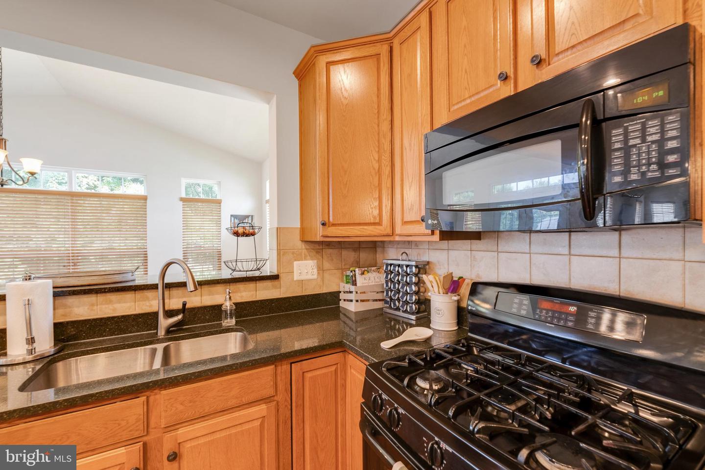 15266 Leopard Tortoise WAY