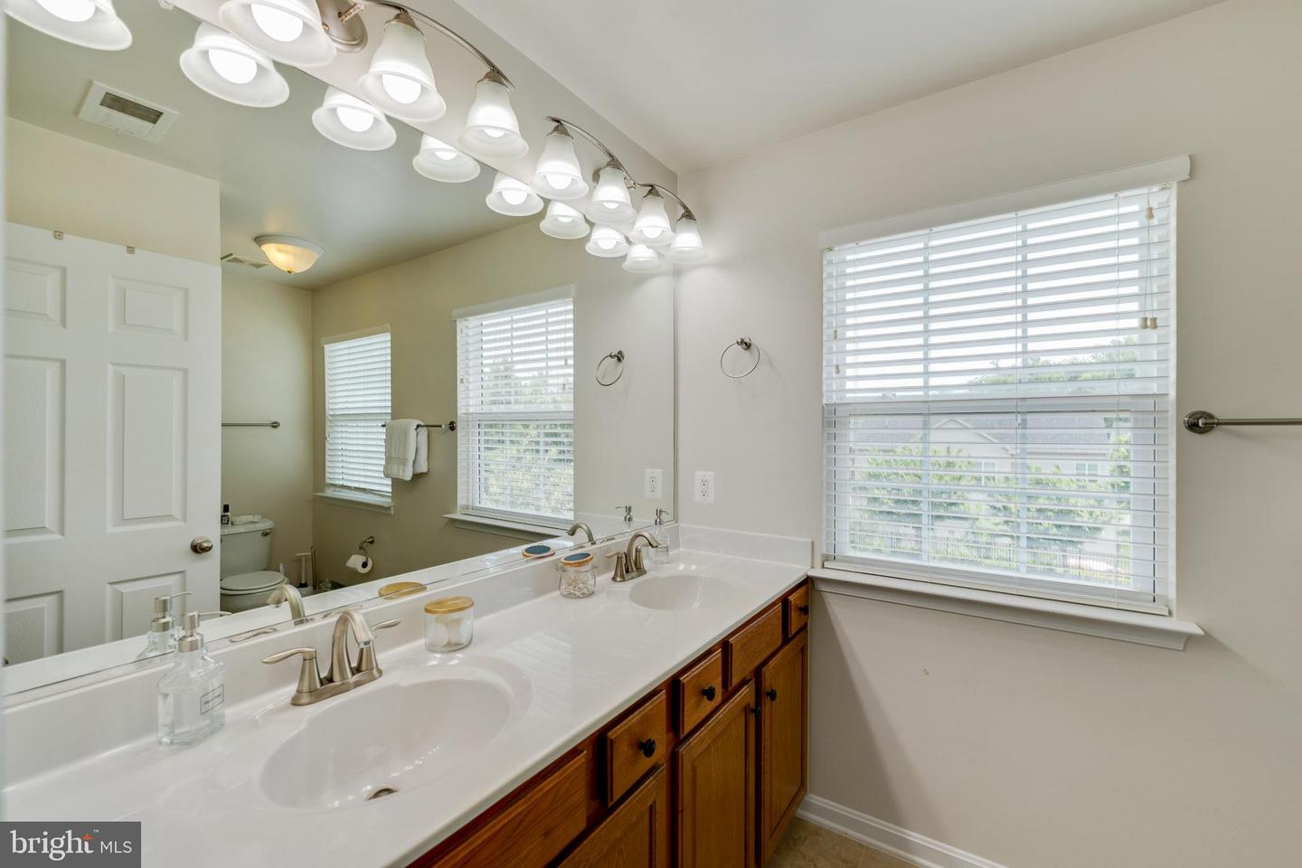 15266 Leopard Tortoise WAY