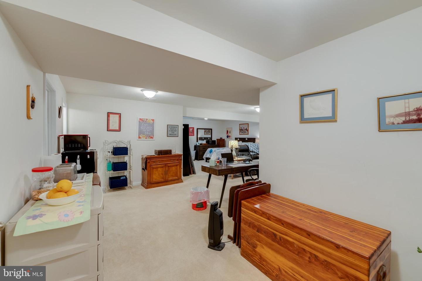15266 Leopard Tortoise WAY