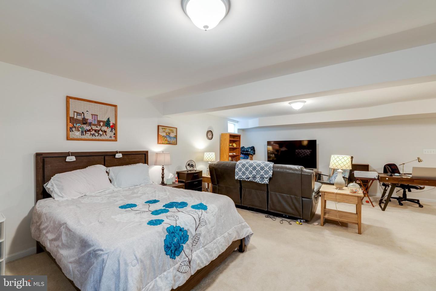 15266 Leopard Tortoise WAY
