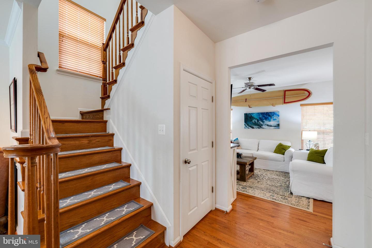 15266 Leopard Tortoise WAY
