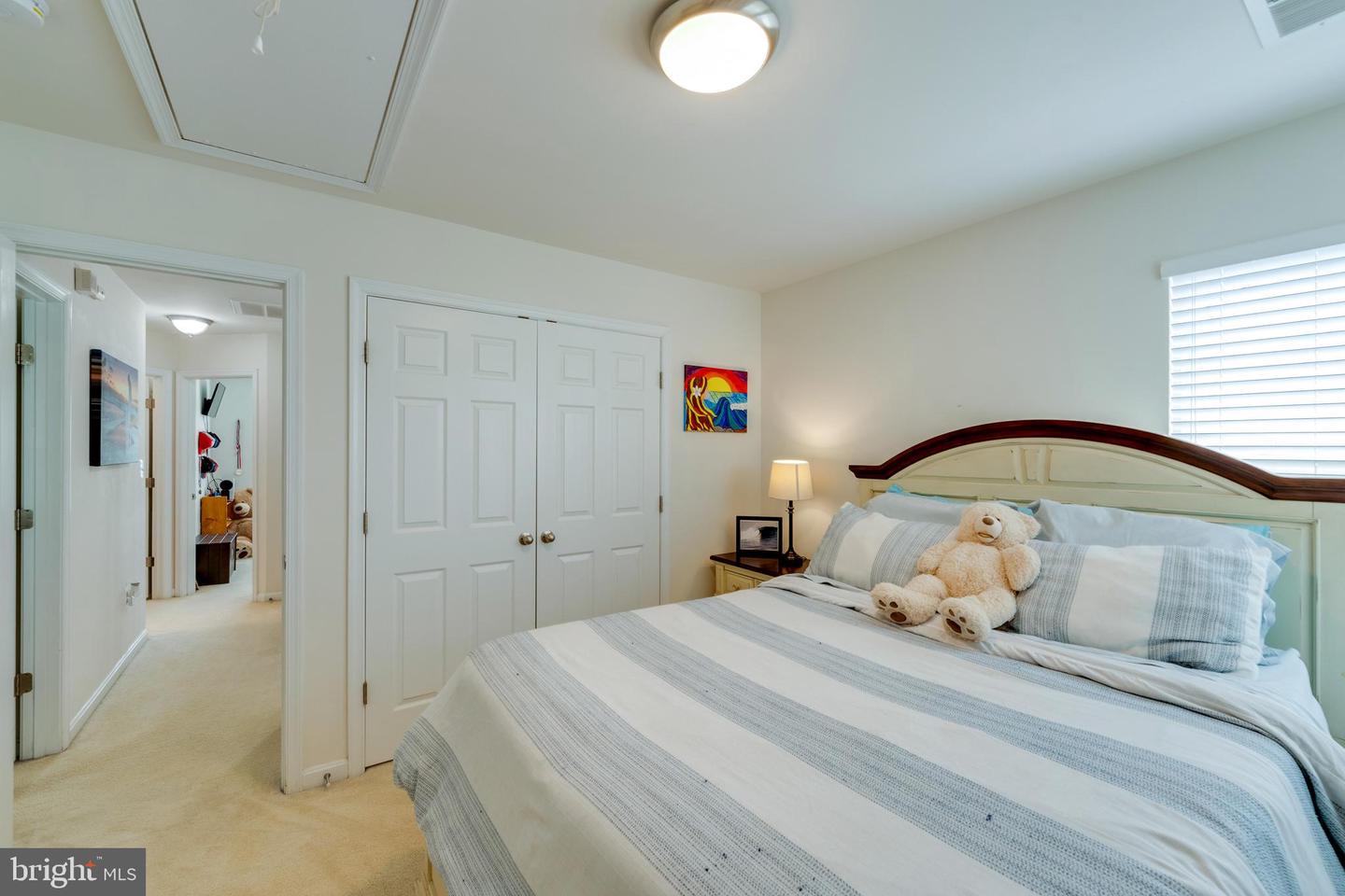 15266 Leopard Tortoise WAY