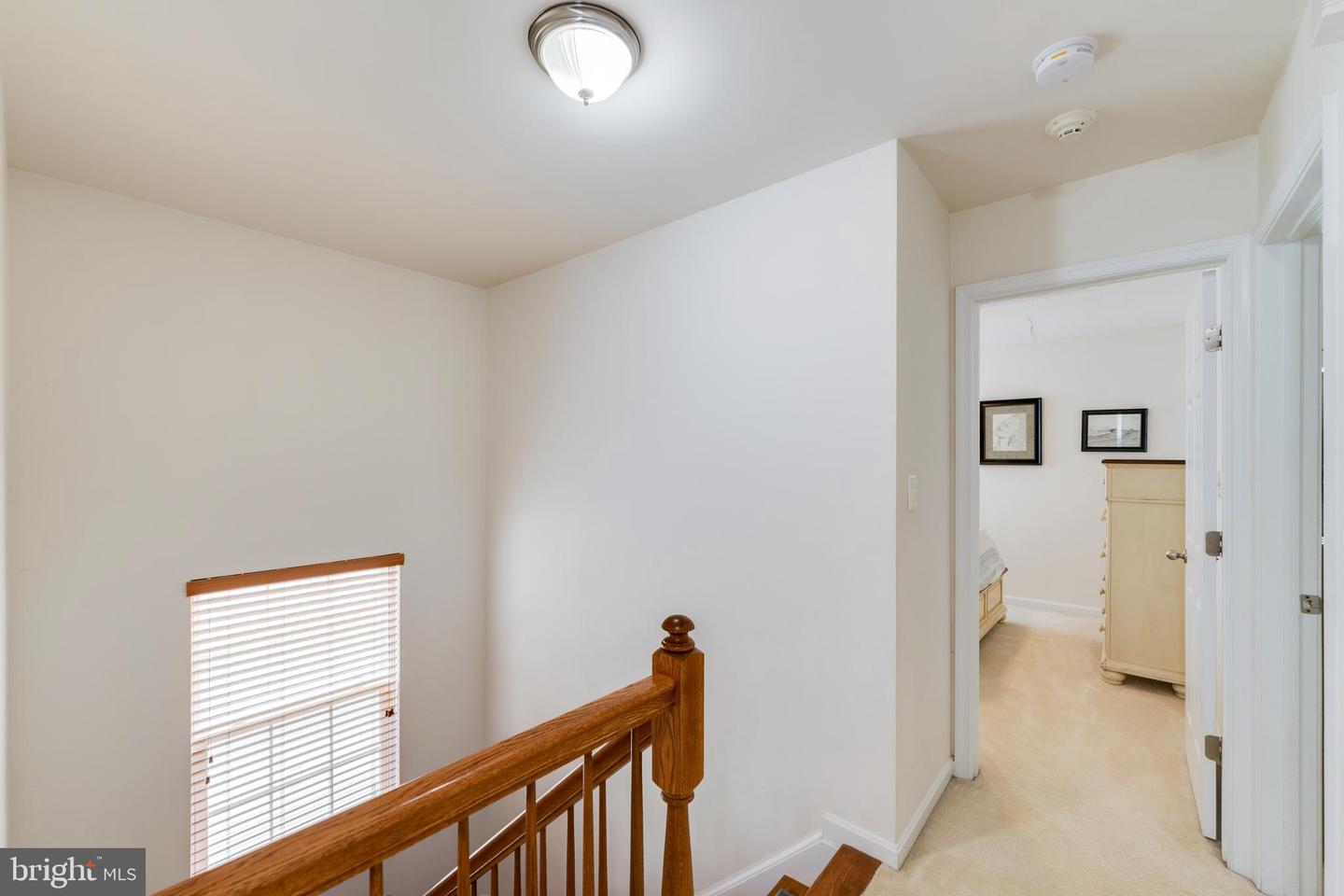 15266 Leopard Tortoise WAY