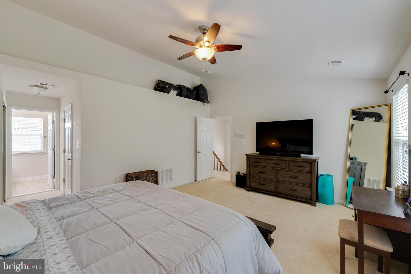 15266 Leopard Tortoise WAY