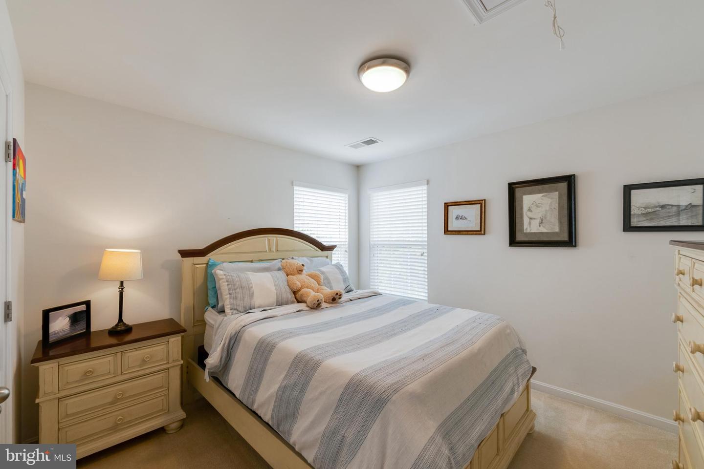15266 Leopard Tortoise WAY