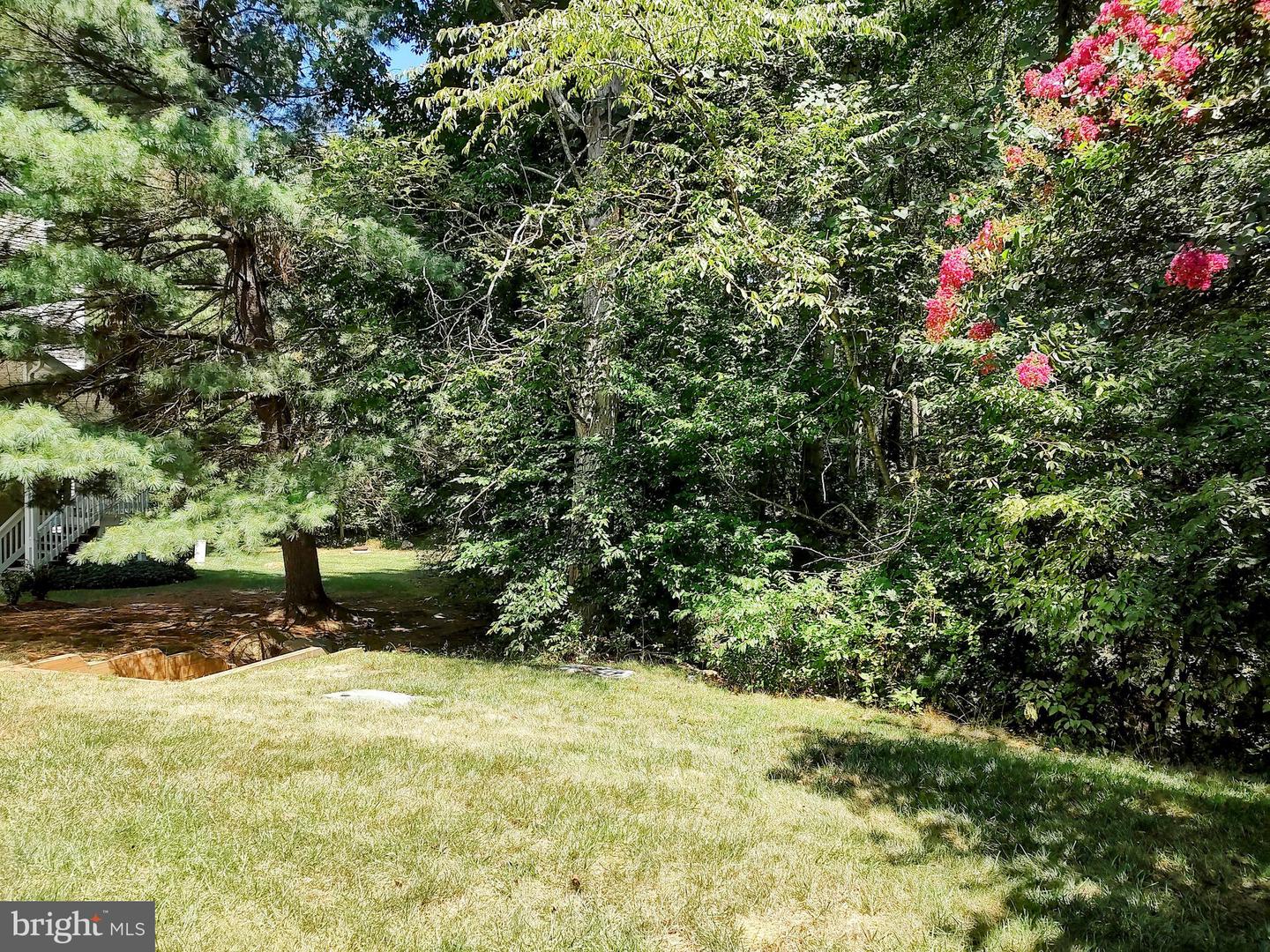 12036 Cardamom DRIVE Unit: 12036