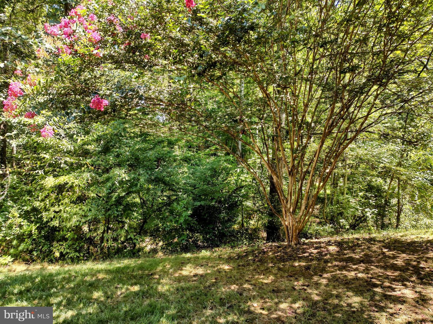 12036 Cardamom DRIVE Unit: 12036