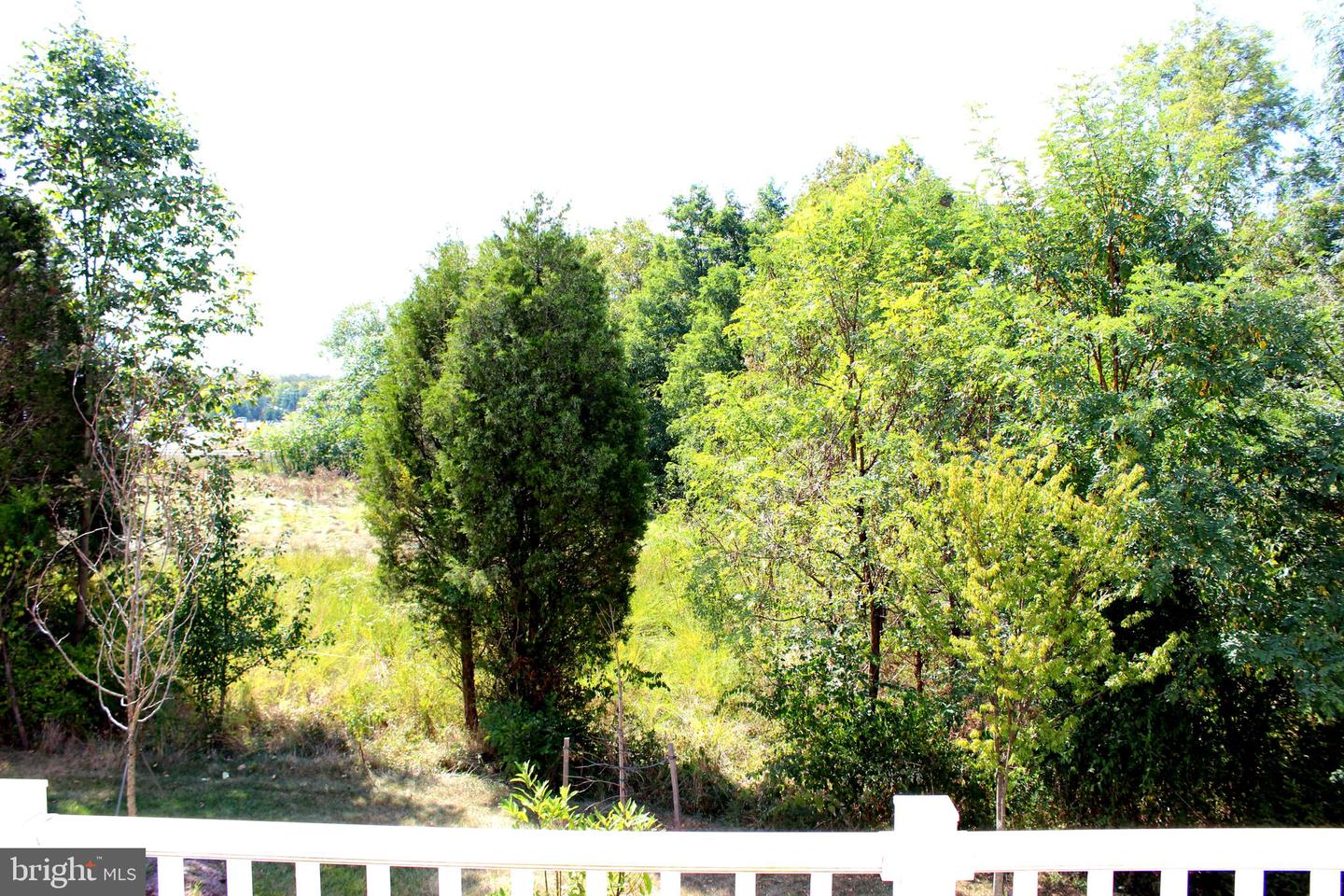 8382 Scotland LOOP Unit: 7