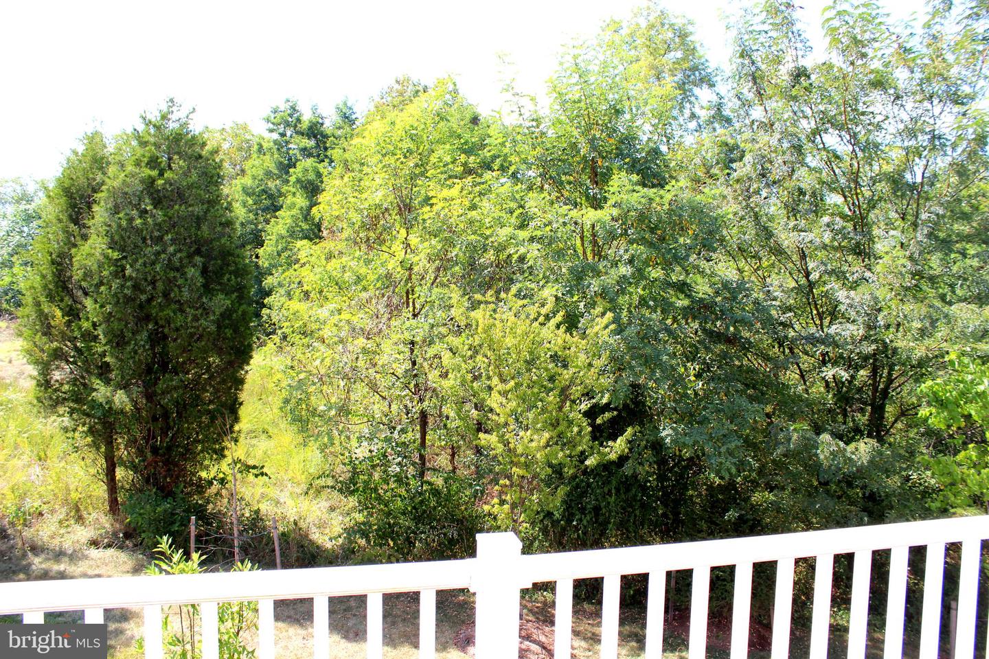 8382 Scotland LOOP Unit: 7